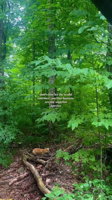 @earthly conservations