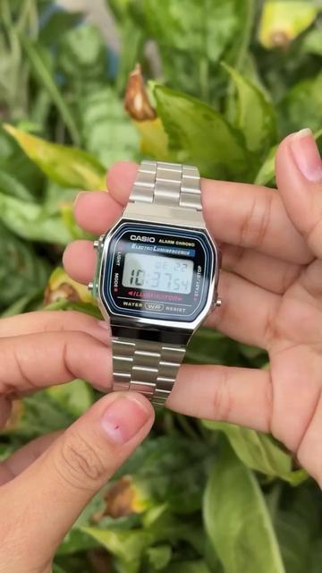 @Casio Fan Page
