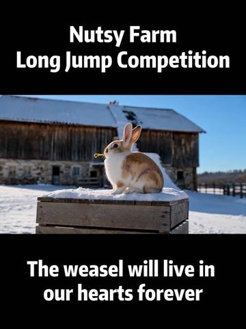 @NutsyFarm