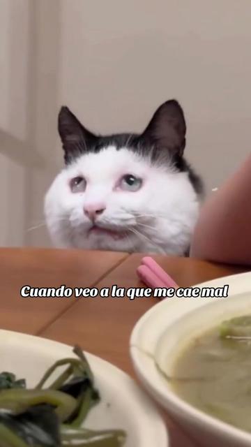 @Javier Villegas