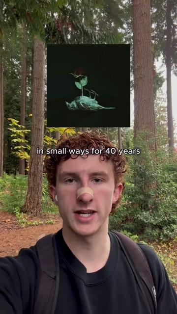 @tavelarocque