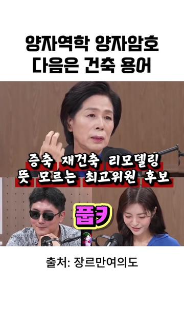 @정치진담