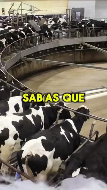 @La Leonera