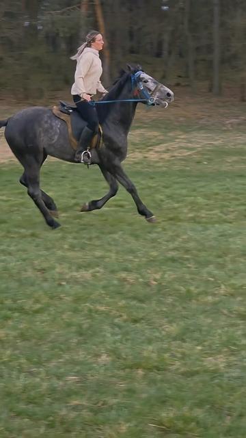 @dzesikazimna