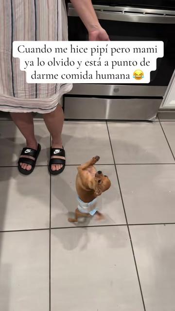 @Gloria Hernandez