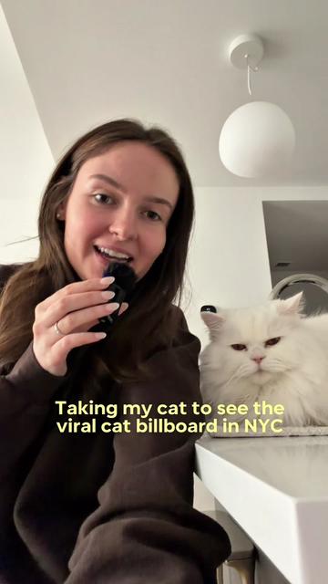 @Cleo the City Kitty