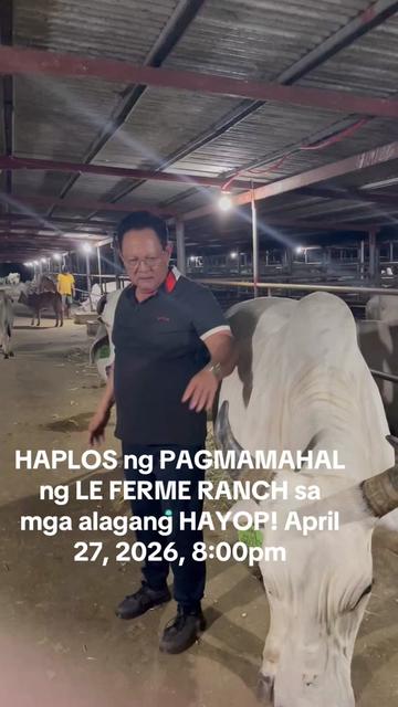 @ATTY. RAUL &ldquo;Kabaka&rdquo; LAMBINO