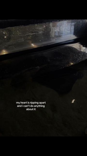 @user