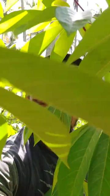 @ஏழைகளின் நண்பன்