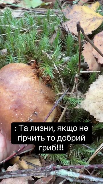 @I_am_8💫