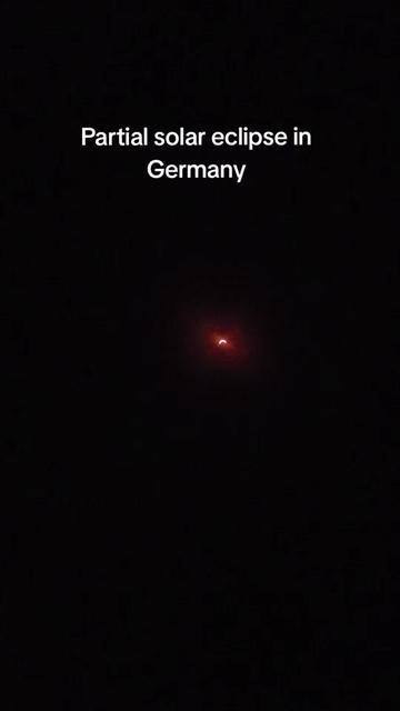 @Scharlie Körk 𓌏▌ᛉ