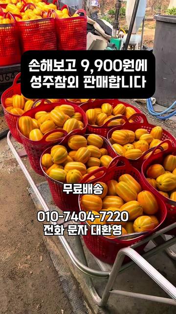 @프루트빌리지