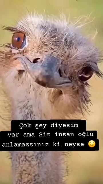 @💢BAHRİCAN💢