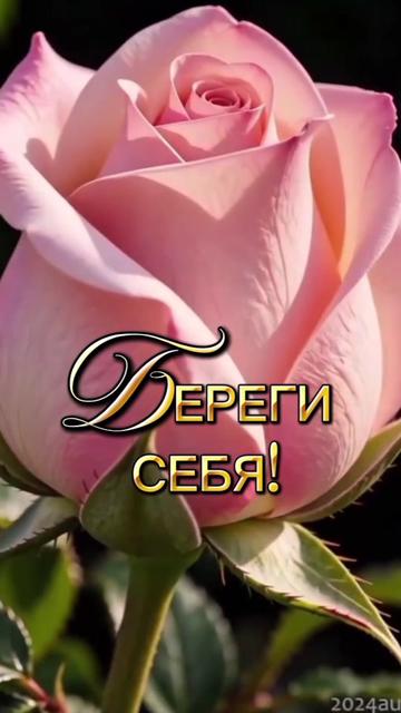 @꧁࿇&hearts;𝓢𝓿𝓮𝓽𝓵𝓪𝓷𝓪꧁&hearts;࿇꧂