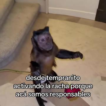 @saulburgosp