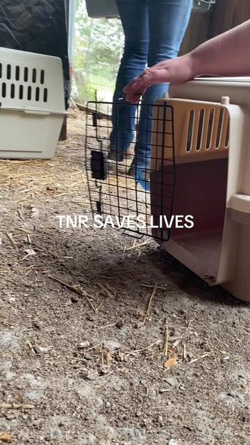 @sftsanimalrescue