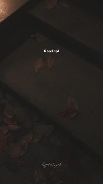 @ꪑꪗꪮ੦ɀỉƙ_ꪗꪖƙ ♪♫♬ 🧬