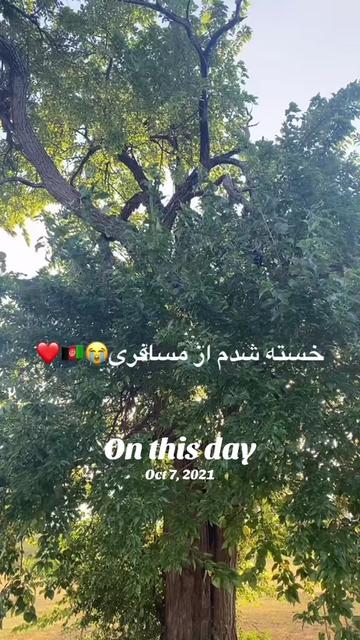 @Sofia Sahar