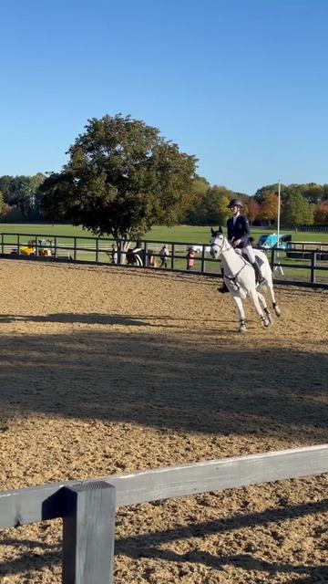 @amelia_showjumping2