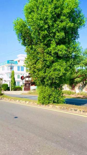 @bigboss02025