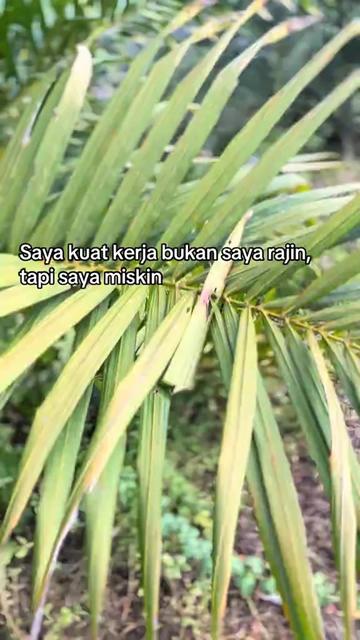 @SM・BOYᴬᵀᴿ