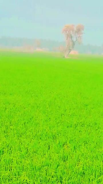 @DOSTI JAAN