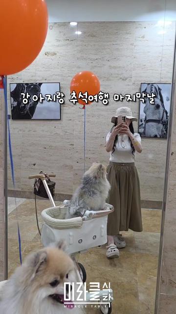 @미라클식탁