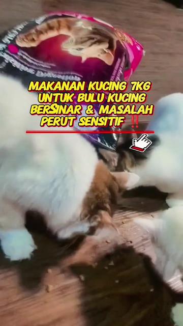 @Norazrena | Racun Tiktok