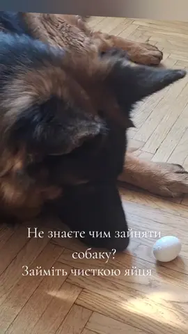 @МАТЬ ДРАКОНІВ🤣
