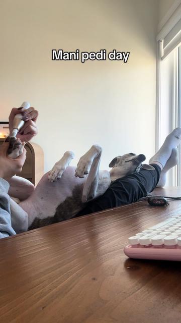 @Kayce Dog🤪🩷