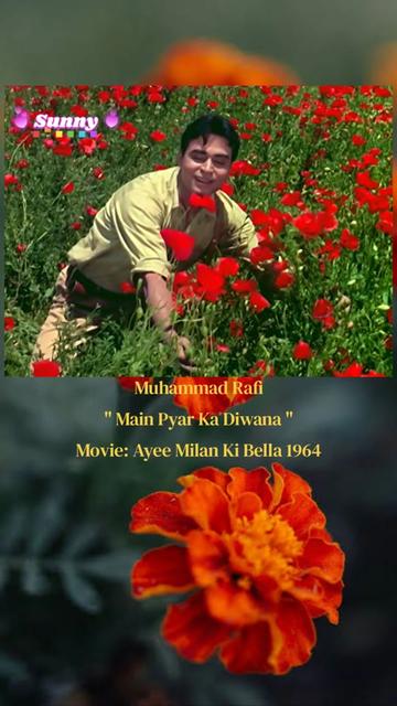 @🎵 SUNNY 💎