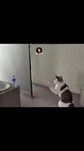 @ᗰ_Sᗩᗪ