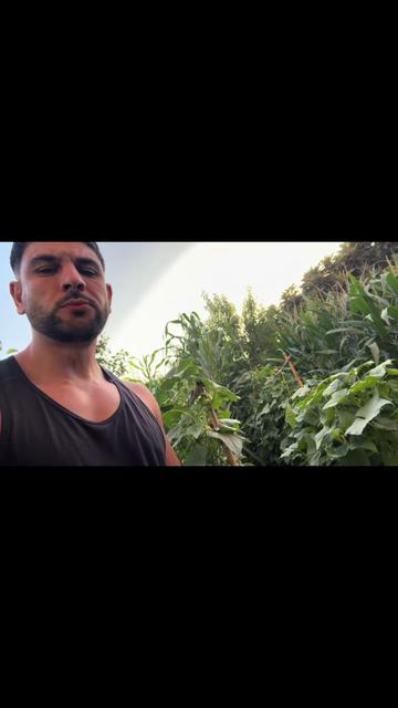 @☠️MONSTERS ☠️