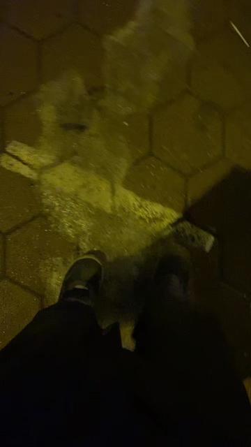 @Matvei Pronin