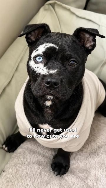 @moonfetches