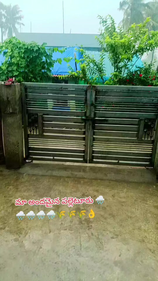 @rajupraju481