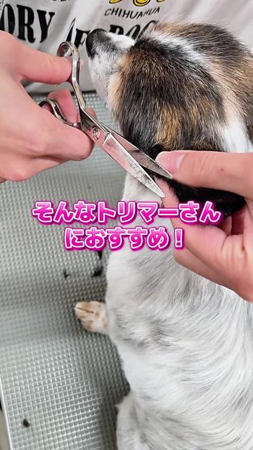 @Svans（スバンス）｜トリマー向けシザー&バリカン専門