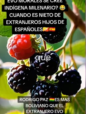 @Boliviano Libre
