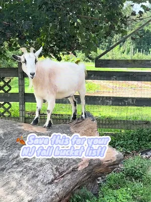 @notsoboring_nj