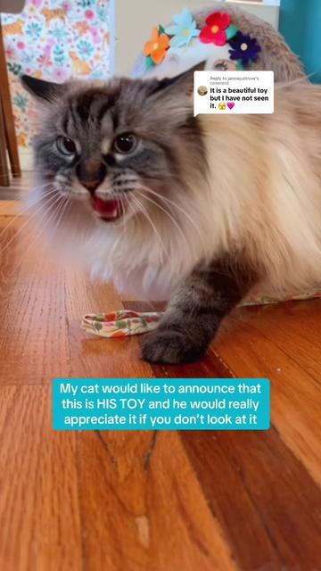 @My Cat Is People 🇨🇦