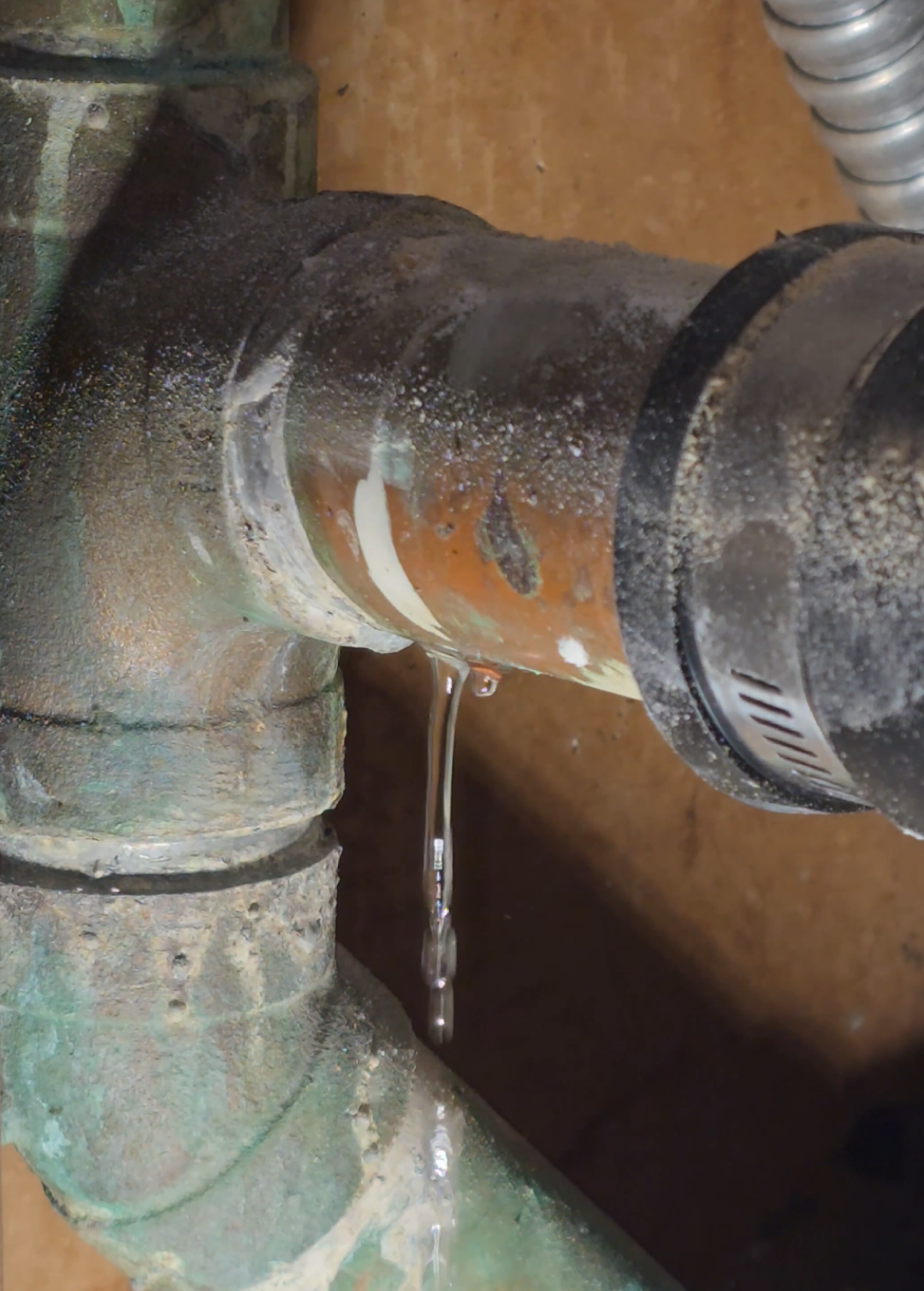 @JakethePlumber🇨🇦