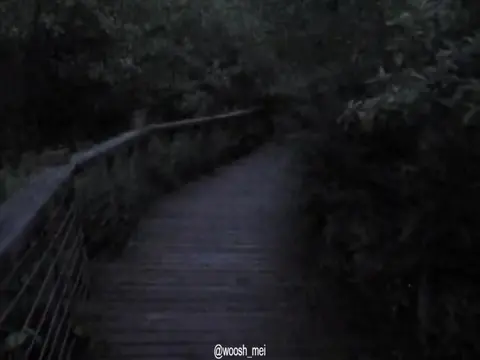 @𝓶𝓪𝓲𝓲✮⋆˙♡