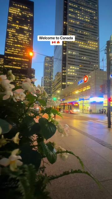 @Canada Vibes ๐จ๐ฆ๐
