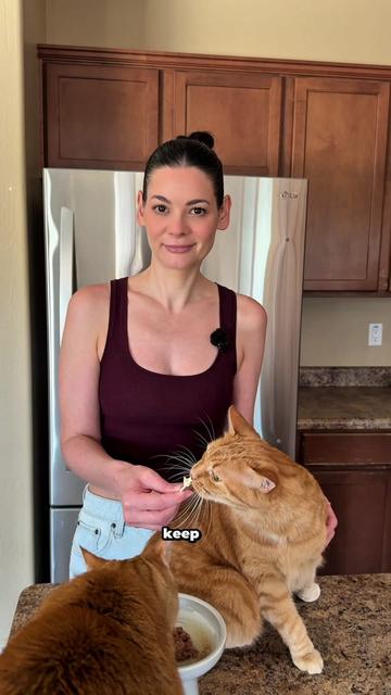 @Feminist Kitty | Cat Nutrition