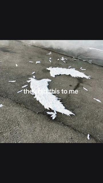 @✿