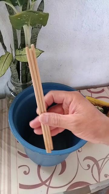 @EcoaBio - Educação Ambiental