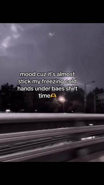 @Lex🦭