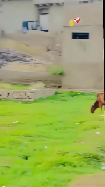 @🇧🇼kashif🚬.khan.ladla🇧🇼🦅