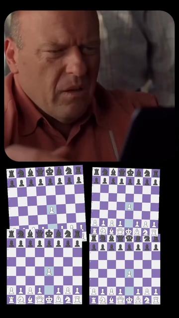 @fuadscacchi