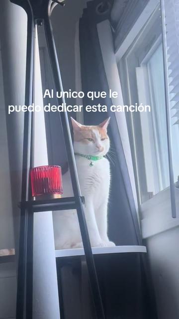 @Hanna 🐈 & Mayrie 👱♀️